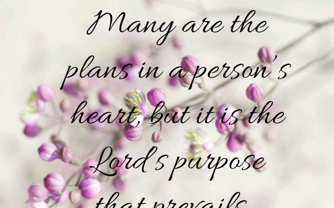Trusting God’s plan for your life