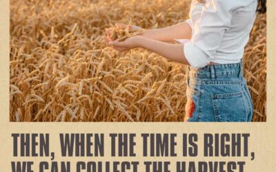 A HARVEST OF RIGHTEOUSNESS
