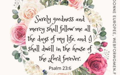 Psalm 23:6 – Part 6 – Goodness and mercy