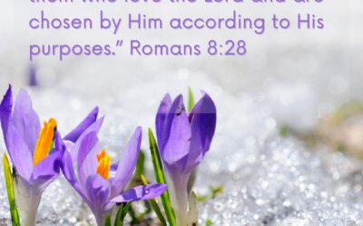 BURDENS are blessings in disguise