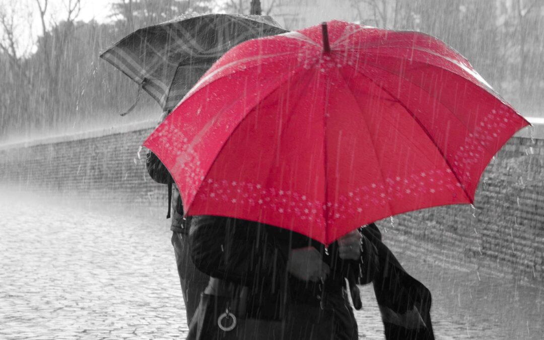 Bring your umbrellas!